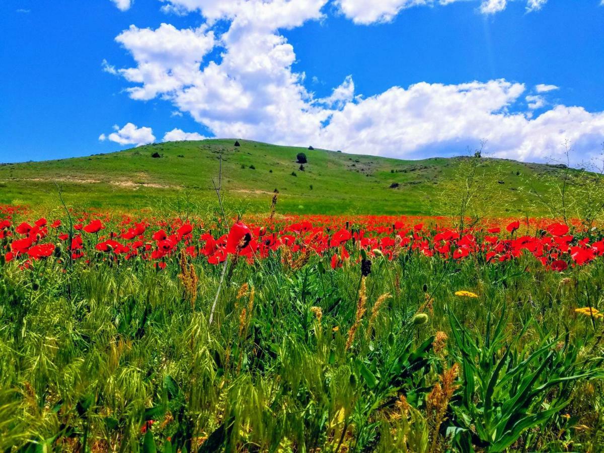 Karine B&B Yeghegnadzor Luaran gambar